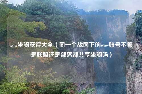 wow坐骑获得大全（同一个战网下的wow账号不管是联盟还是部落都共享坐骑吗）