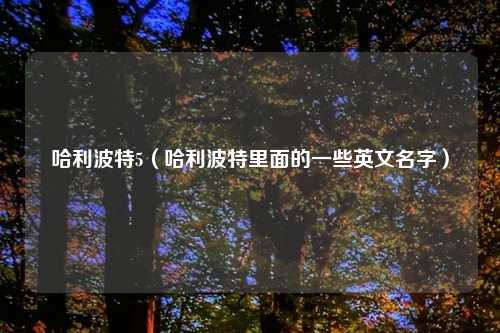 哈利波特5（哈利波特里面的一些英文名字）