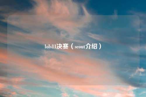 lols11决赛（scout介绍）