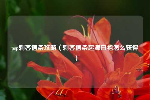 psp刺客信条攻略（刺客信条起源白袍怎么获得）