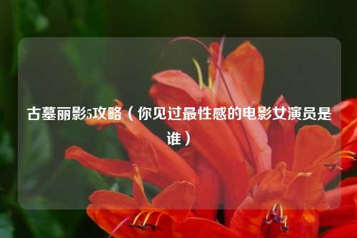 古墓丽影5攻略（你见过最性感的电影女演员是谁）