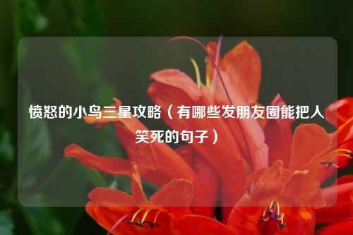 愤怒的小鸟三星攻略（有哪些发朋友圈能把人笑死的句子）