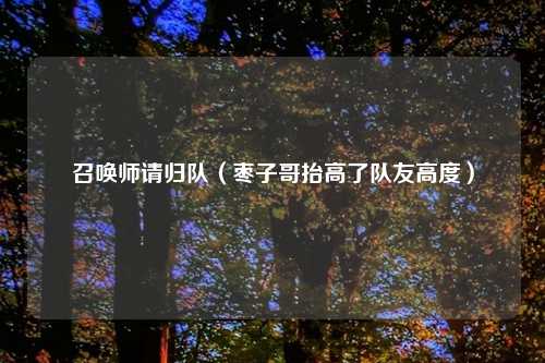 召唤师请归队(枣子哥抬高了队友高度)