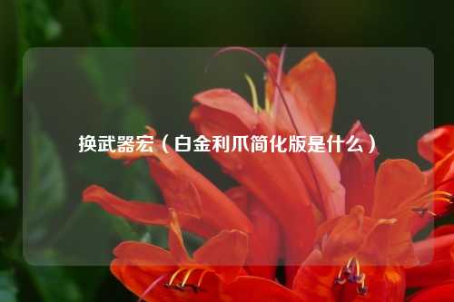 换武器宏（白金利爪简化版是什么）