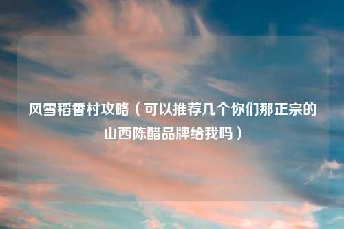 风雪稻香村攻略(可以推荐几个你们那正宗的山西陈醋品牌给我吗)