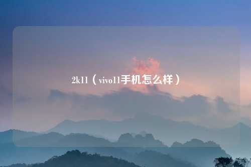 2k11（vivo11手机怎么样）