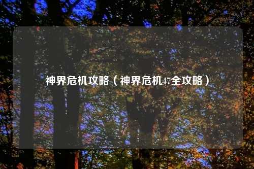 神界危机攻略（神界危机47全攻略）