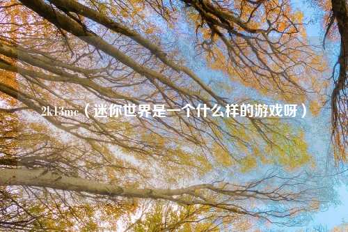 2k13mc（迷你世界是一个什么样的游戏呀）