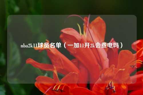 nba2k11球员名单(一加11开2k会费电吗)