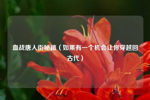 血战唐人街秘籍（如果有一个机会让你穿越回古代）