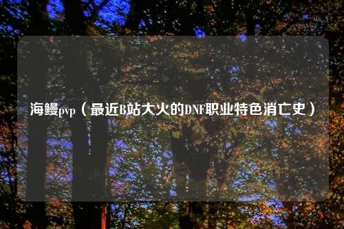 海鳗pvp（最近B站大火的DNF职业特色消亡史）