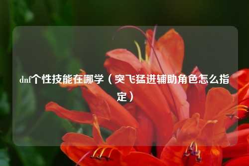 dnf个性技能在哪学（突飞猛进辅助角色怎么指定）