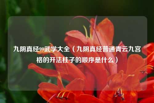九阴真经99武学大全（九阴真经普通青云九宫格的开法柱子的顺序是什么）