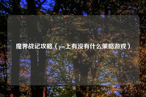 魔界战记攻略（psv上有没有什么策略游戏）