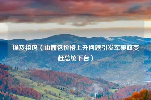 埃及祖玛(由面包价格上升问题引发军事政变赶总统下台)