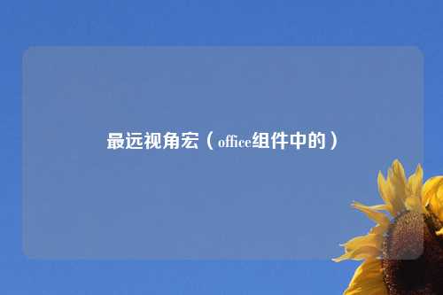 最远视角宏（office组件中的）