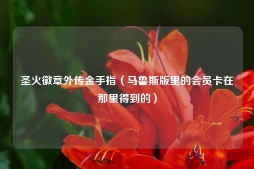 圣火徽章外传金手指(马鲁斯版里的会员卡在那里得到的)