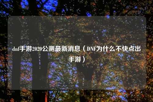 dnf手游2020公测最新消息（DNF为什么不快点出手游）
