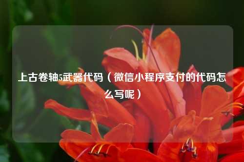 上古卷轴5武器代码（微信小程序支付的代码怎么写呢）