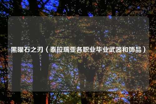 黑曜石之刃(泰拉瑞亚各职业毕业武器和饰品)