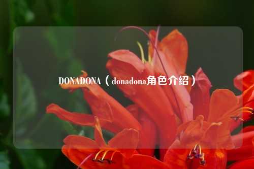 DONADONA(donadona角色介绍)