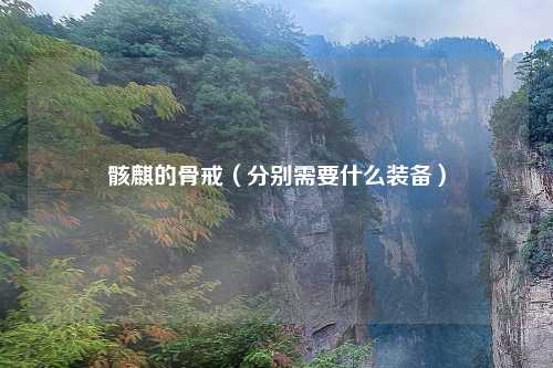 骸麒的骨戒（分别需要什么装备）