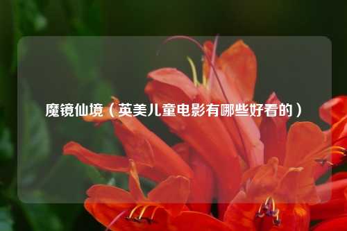 魔镜仙境(英美儿童电影有哪些好看的)