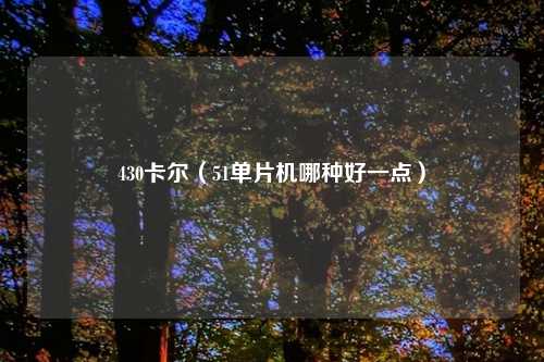 430卡尔（51单片机哪种好一点）