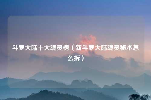 斗罗大陆十大魂灵榜（新斗罗大陆魂灵秘术怎么拆）