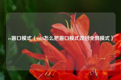 cs窗口模式（cs15怎么把窗口模式改回全屏模式）