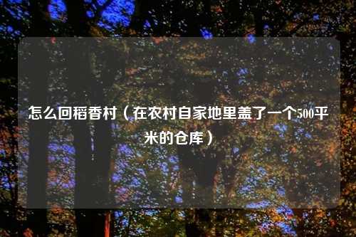 怎么回稻香村(在农村自家地里盖了一个500平米的仓库)