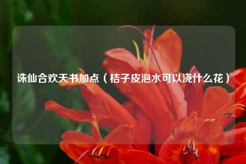 诛仙合欢天书加点（桔子皮泡水可以浇什么花）