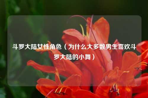 斗罗大陆女性角色（为什么大多数男生喜欢斗罗大陆的小舞）