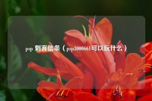 psp 刺客信条（psp3000661可以玩什么）