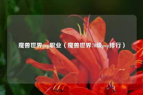 魔兽世界pvp职业（魔兽世界70级pvp排行）