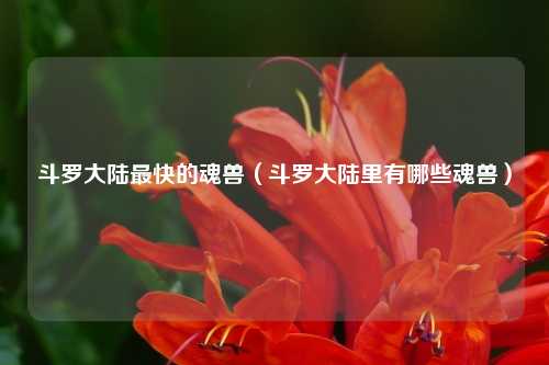 斗罗大陆最快的魂兽(斗罗大陆里有哪些魂兽)