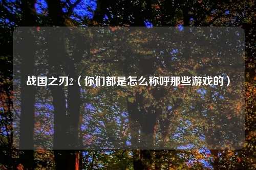 战国之刃2（你们都是怎么称呼那些游戏的）
