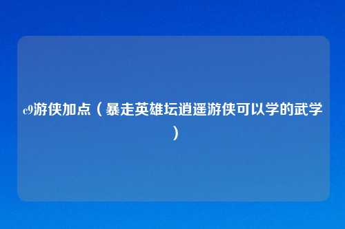 c9游侠加点（暴走英雄坛逍遥游侠可以学的武学）