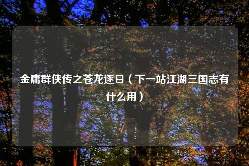 金庸群侠传之苍龙逐日（下一站江湖三国志有什么用）