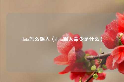 dota怎么踢人（dota踢人命令是什么）