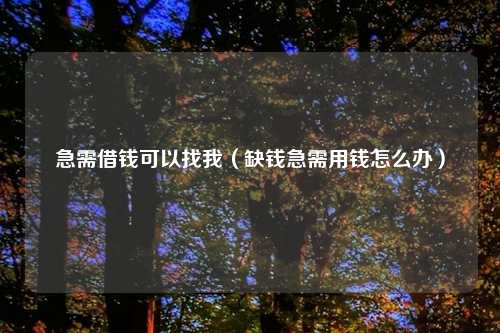 急需借钱可以找我（缺钱急需用钱怎么办）