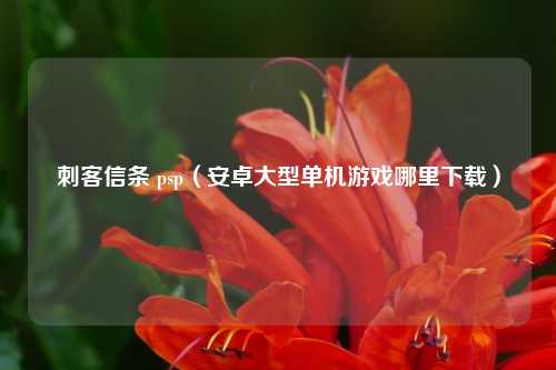 刺客信条 psp（安卓大型单机游戏哪里下载）