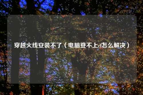 穿越火线安装不了（电脑登不上cf怎么解决）