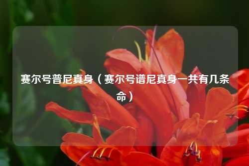 赛尔号普尼真身（赛尔号谱尼真身一共有几条命）