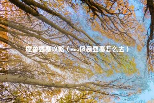 魔兽要塞攻略（wow风暴要塞怎么去）