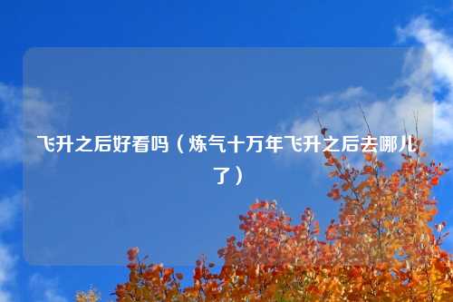 飞升之后好看吗（炼气十万年飞升之后去哪儿了）