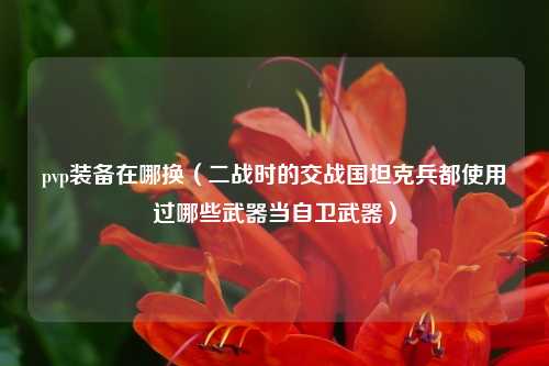 pvp装备在哪换（二战时的交战国坦克兵都使用过哪些武器当自卫武器）