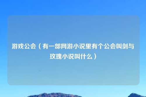 游戏公会（有一部网游小说里有个公会叫剑与玫瑰小说叫什么）