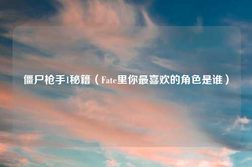 僵尸枪手1秘籍（Fate里你最喜欢的角色是谁）