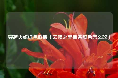 穿越火线绿色联盟（云顶之弈血条颜色怎么改）